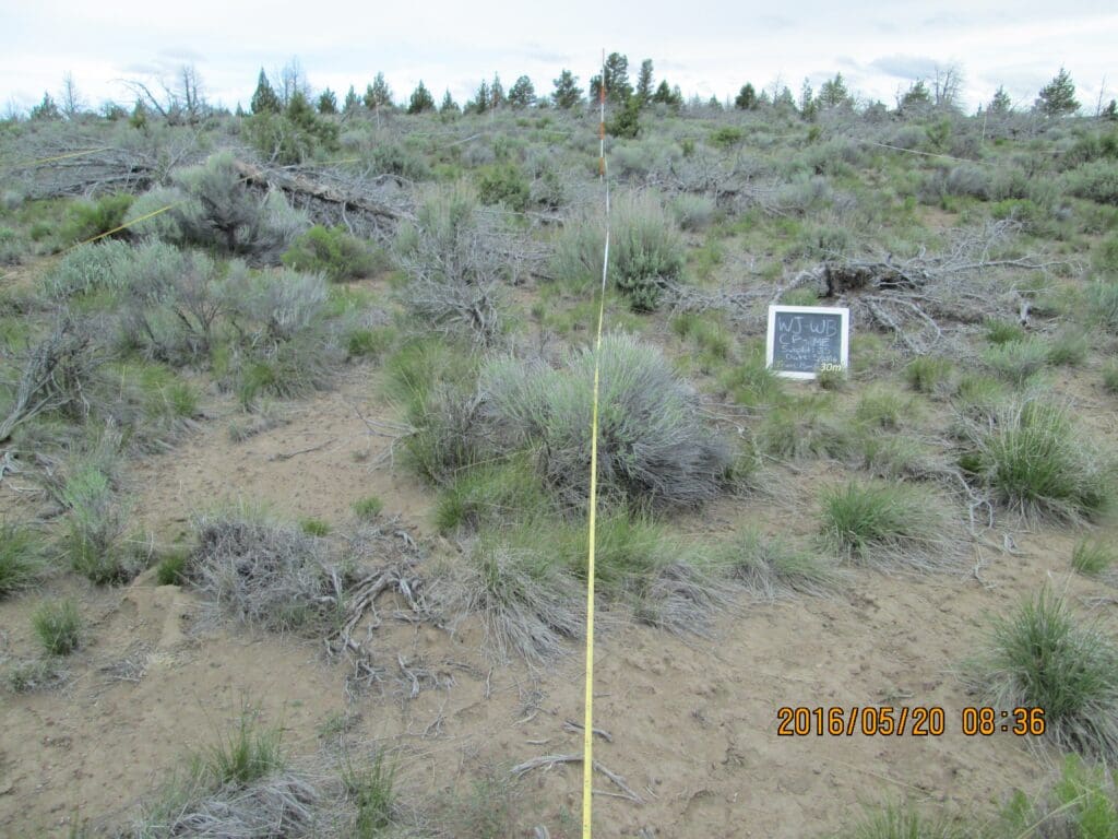 2016: 10 years post-treatment