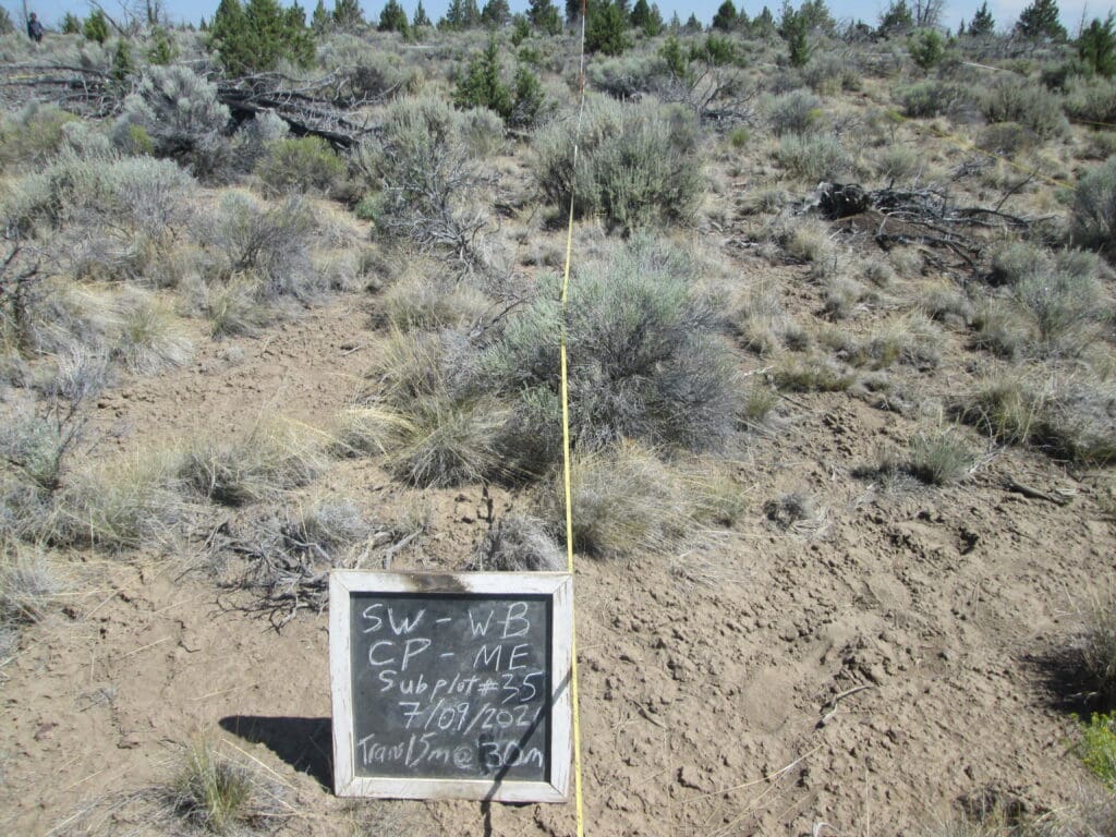 2021: 15 years post-treatment 